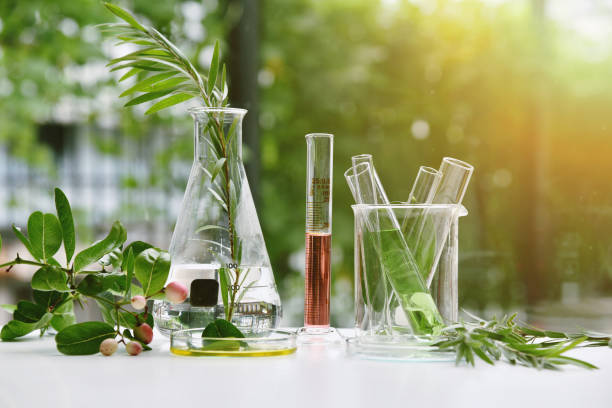 Azurlis™ Botanical Skin Care